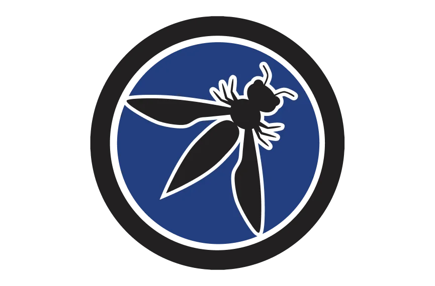 OWASP Top 10 for LLM Applications